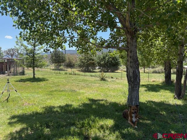 12299 Rd G Cortez, CO 81321 - Photo 33 of 44 a view of outdoor space with trees all around