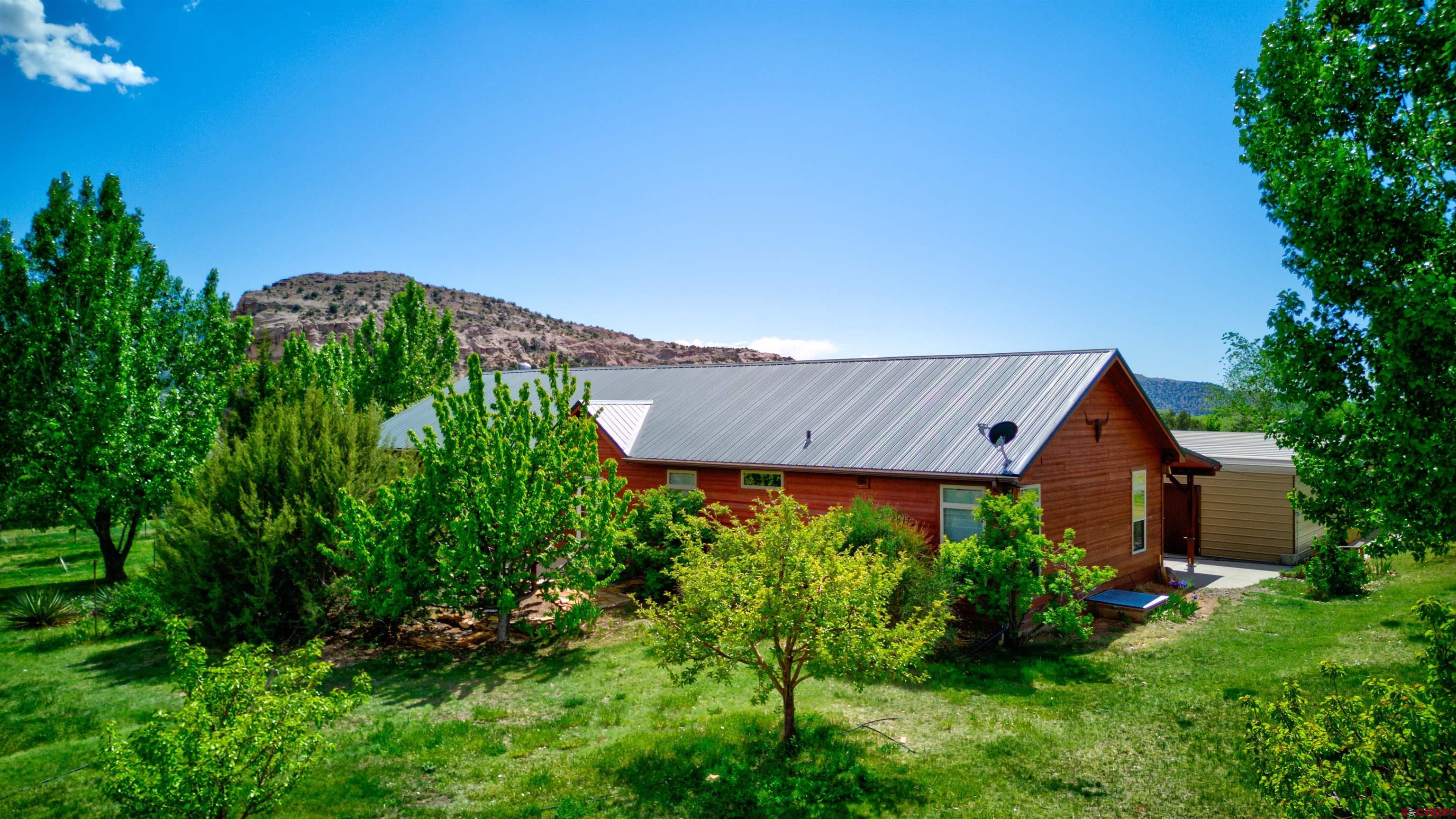 12299 Rd G Cortez, CO 81321 - Photo 4 of 44 a view of a garden with plants and large trees