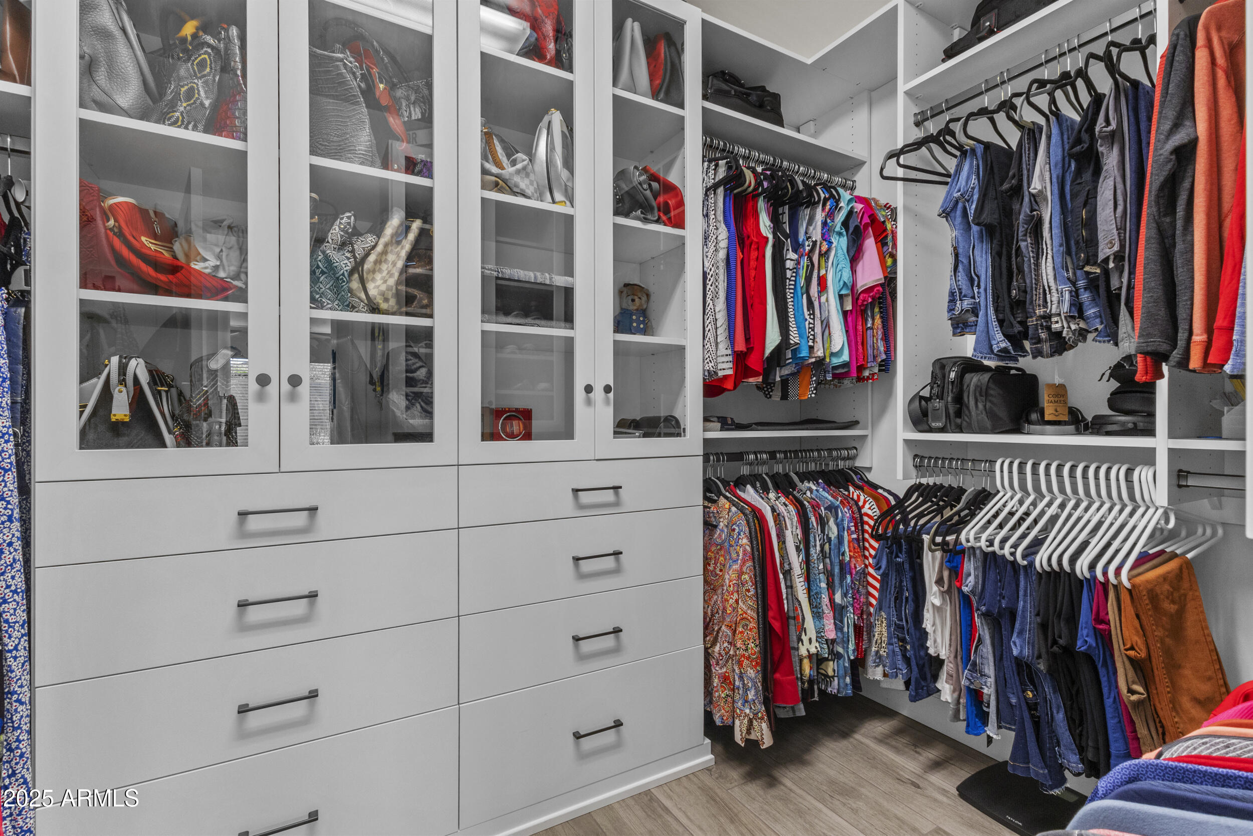 18068 East Curva De Plata Rio Verde, AZ 85263 - Photo 17 of 71 a view of walk in closet with clothes