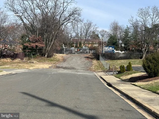 a view of parking area with large trees