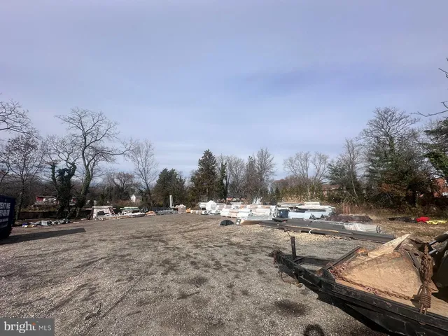 a view of a yard with a large tree