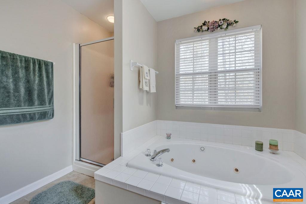 13 Stonewall Road Palmyra, VA 22963 - Photo 23 of 45 a bathroom with a tub a sink and a window