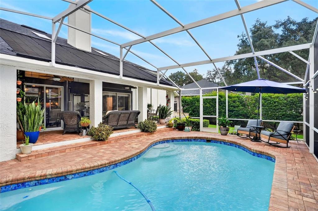 919 Ridge Spring Court Apopka, FL 32712 - Photo 72 of 92 Gallery Image 72