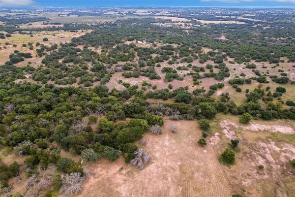 an aerial view of forest