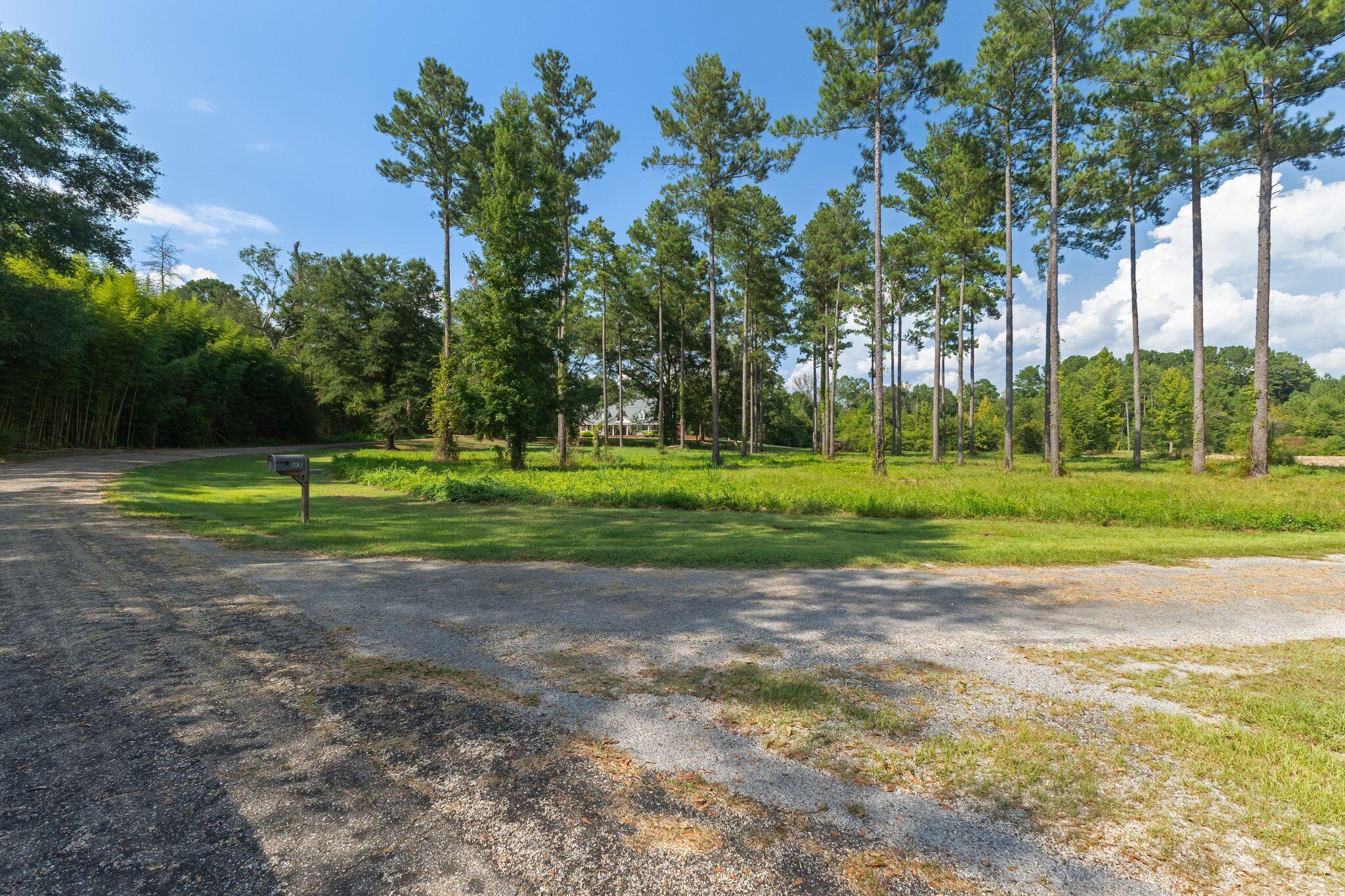 103 Slade Carlisle Road Columbia, MS 39429 - Photo 65 of 65 Gallery Image 65