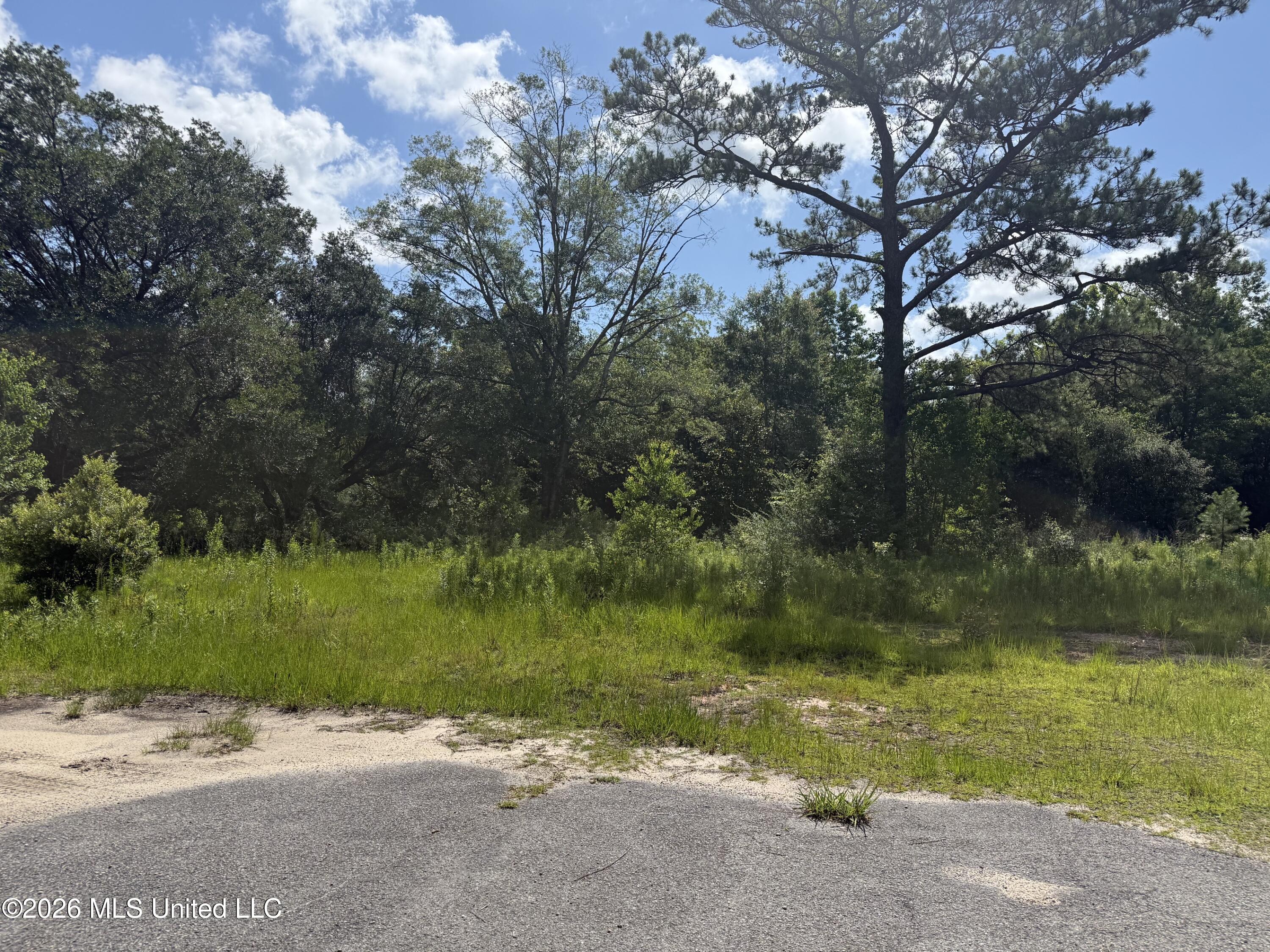 22280 Success Road Saucier, MS 39574 - Photo 1 of 4 Lot1