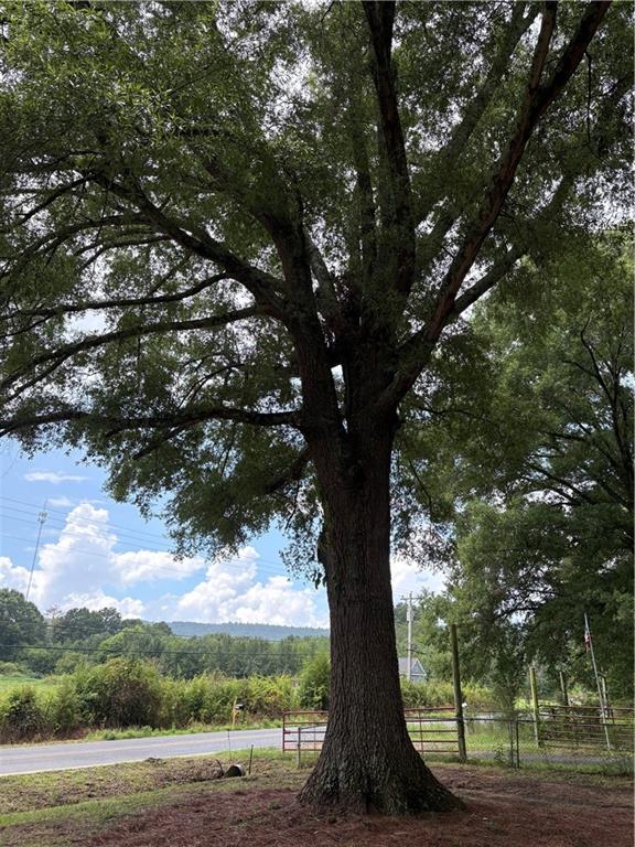 1079 Fairview Road Northwest Calhoun, GA 30701 - Photo 26 of 27