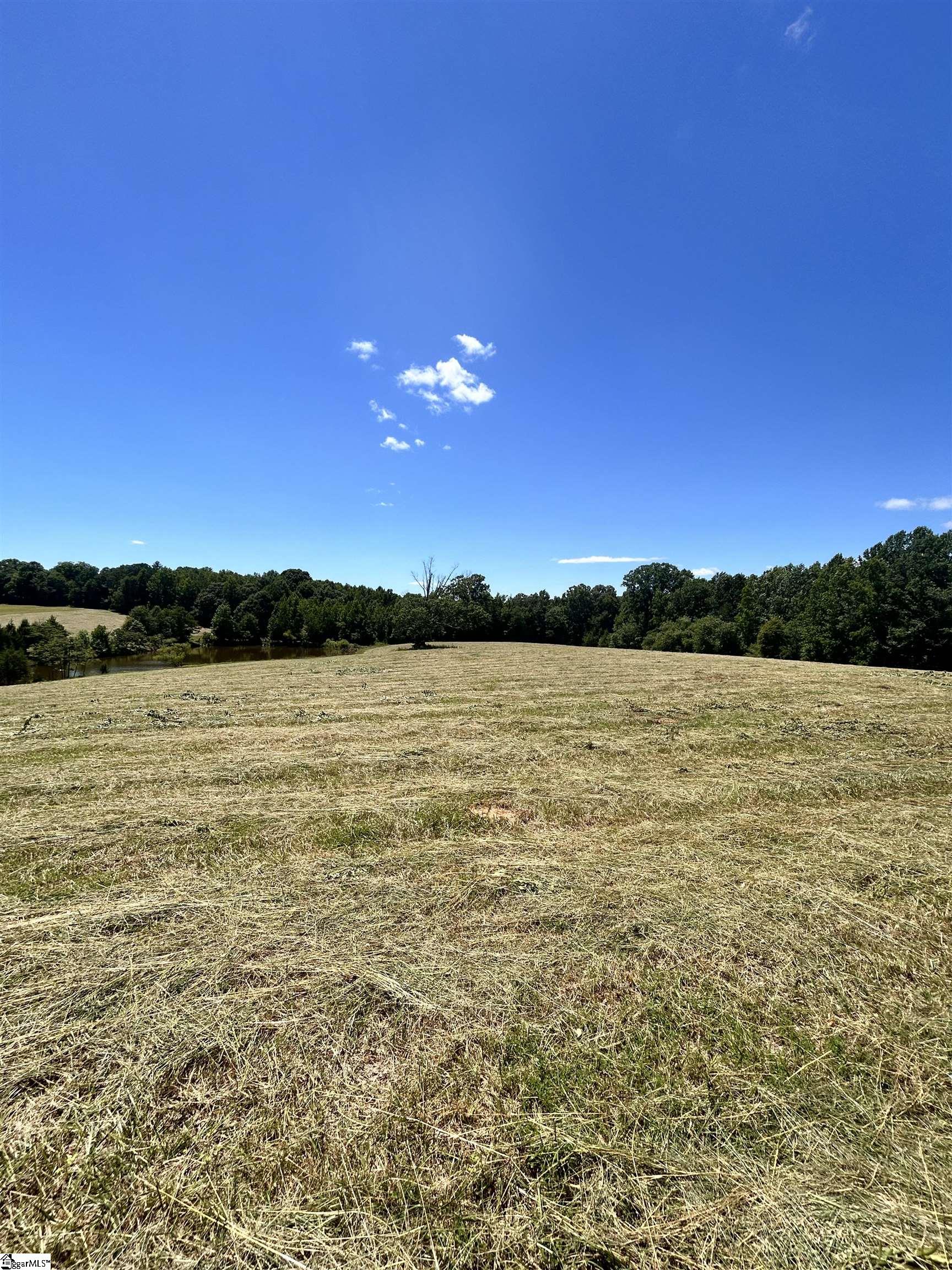 10 Sc - 413 Highway Anderson, SC 29621 - Photo 11 of 12