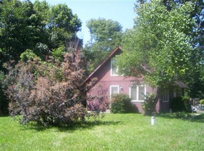 3089 Reed Road Buchanan, MI 49107 - Photo 1 of 2 Primary Photo