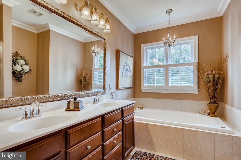 2333 Benson Mill Road Sparks, MD 21152 - Photo 25 of 53 Relaxing soaking tub and double vanity