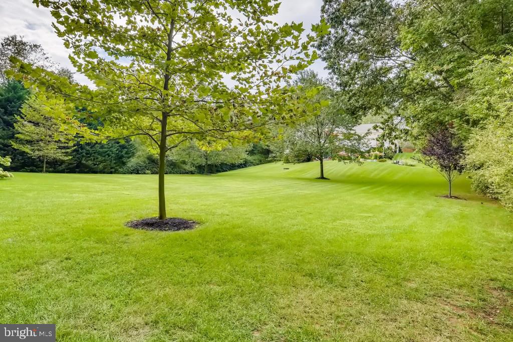2333 Benson Mill Road Sparks, MD 21152 - Photo 52 of 53 Absolutely breathtaking pristinely manicured yard