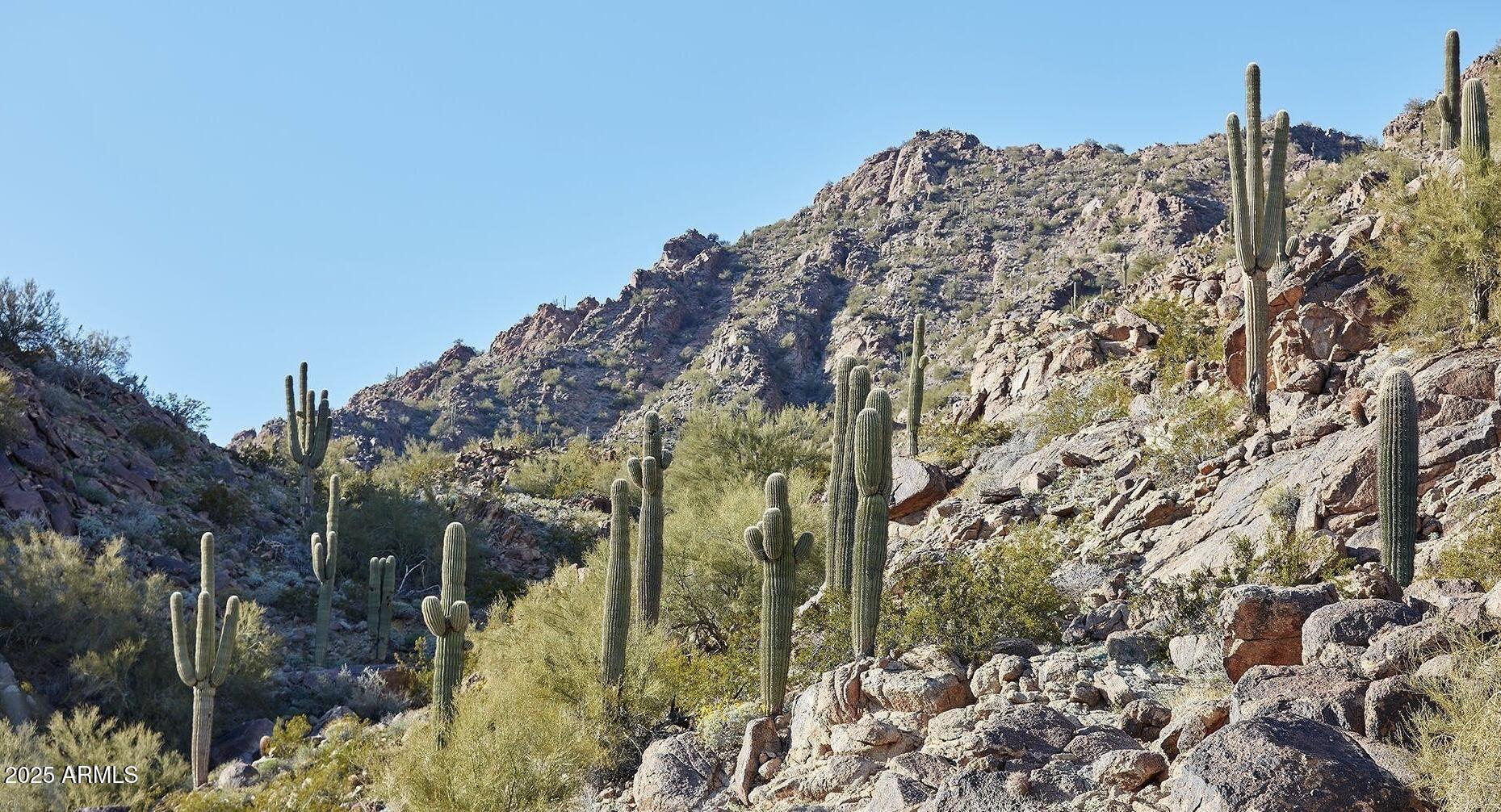 4849 North Camelback Ridge Drive, Unit B404 Scottsdale, AZ 85251 - Photo 40 of 46 Camelback Mountain