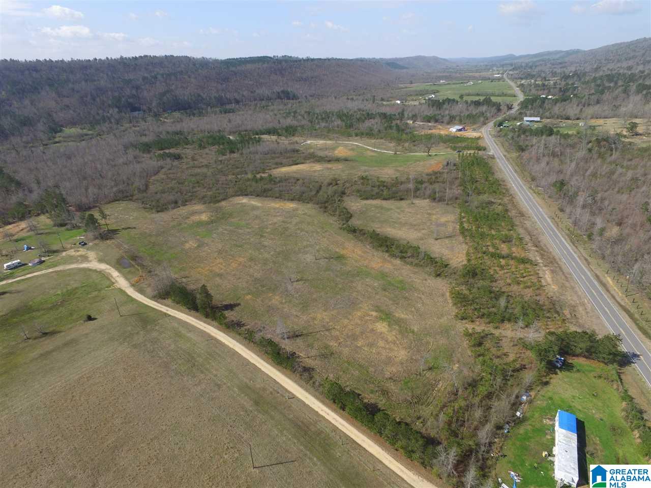 Shoal Creek Road, Unit 4 Springville, AL 35146 - Photo 5 of 10