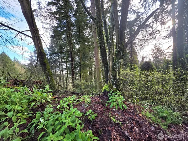 $225,000 | 21211 35th Avenue South, SeaTac, WA 98198