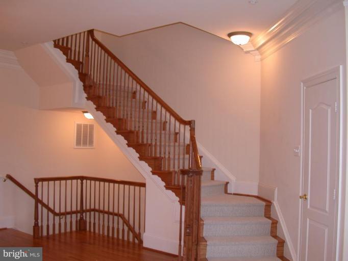 1730 Carpenter Road Alexandria, VA 22314 - Photo 2 of 20 a view of staircase with railing and white walls