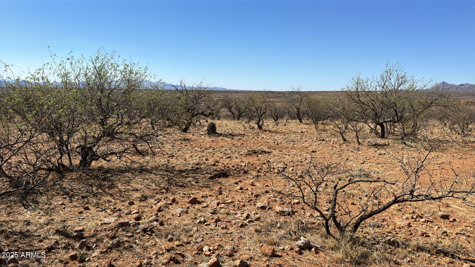 372 Calle Buzo, Unit 88 Rio Rico, AZ 85648 - Photo 3 of 4 a view of a dry yard with trees
