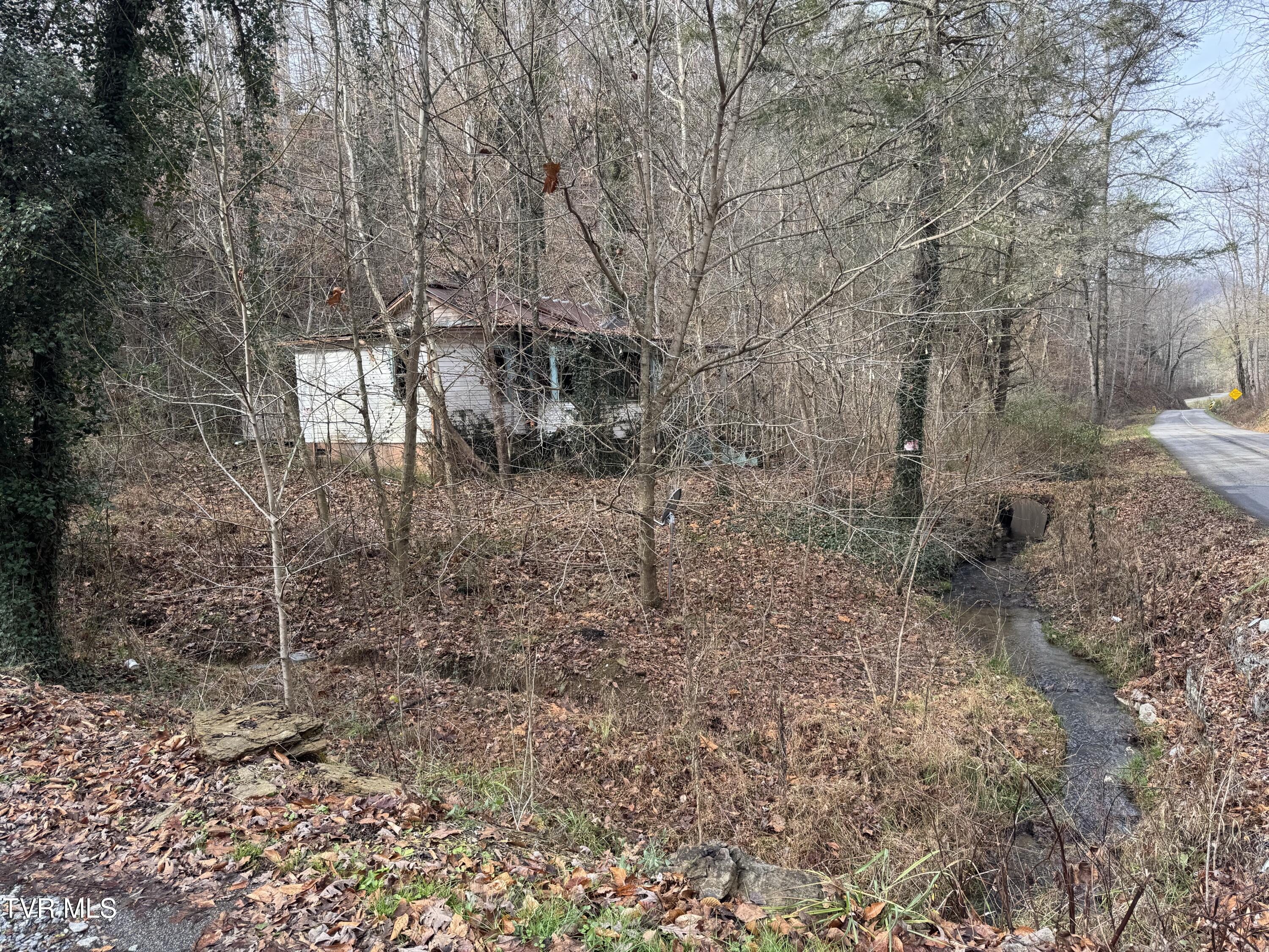 3713 Manville Road Gate City, VA 24251 - Photo 3 of 9 IMG_0432