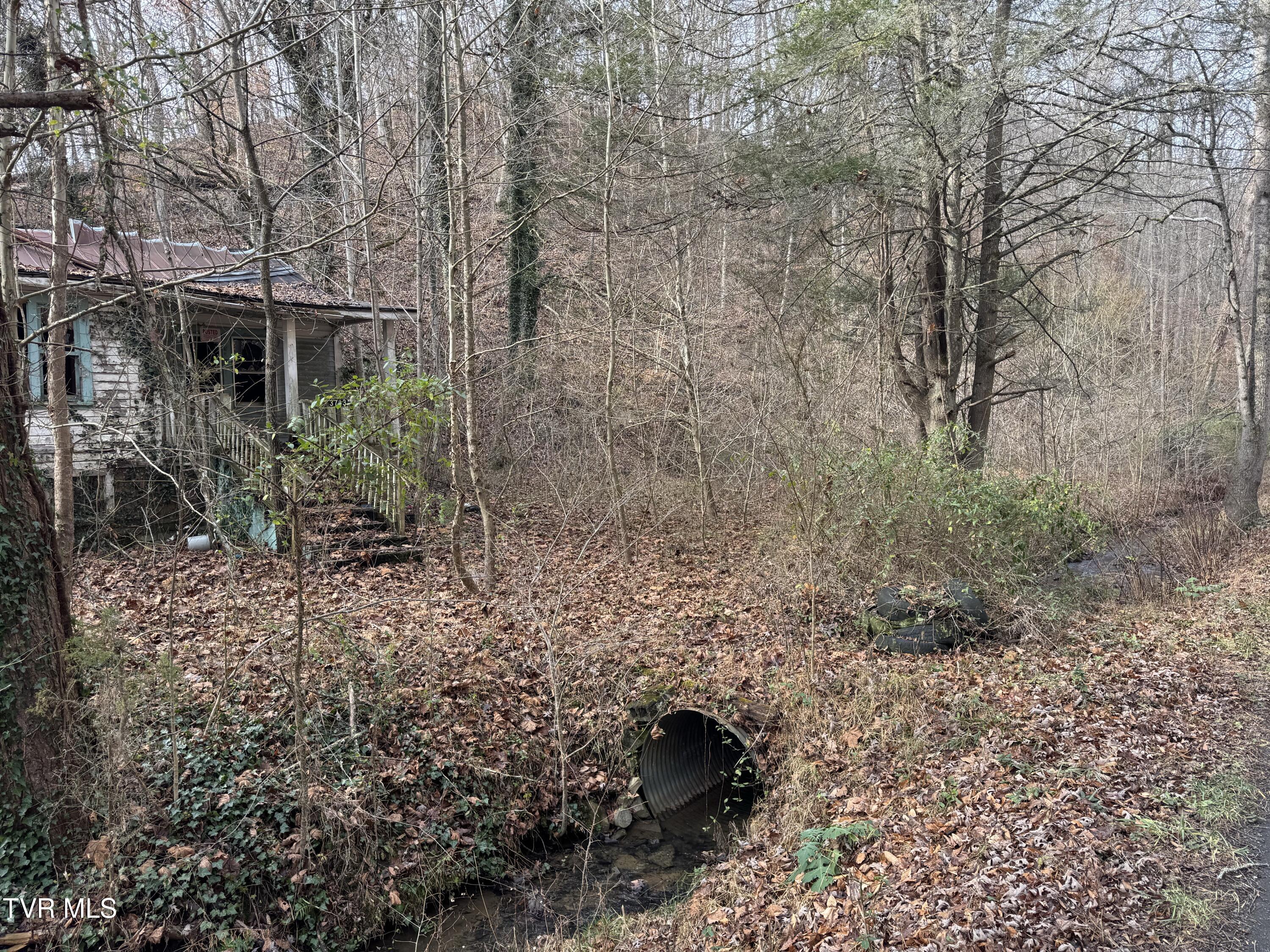 3713 Manville Road Gate City, VA 24251 - Photo 4 of 9 IMG_0434