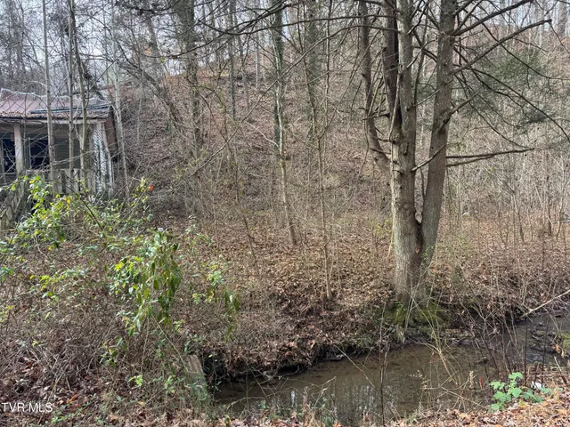 $20,000 | 3713 Manville Road, Gate City, VA 24251