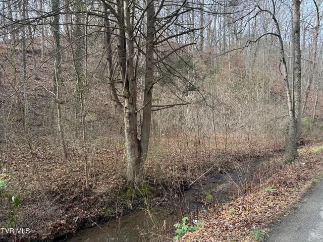 $20,000 | 3713 Manville Road, Gate City, VA 24251