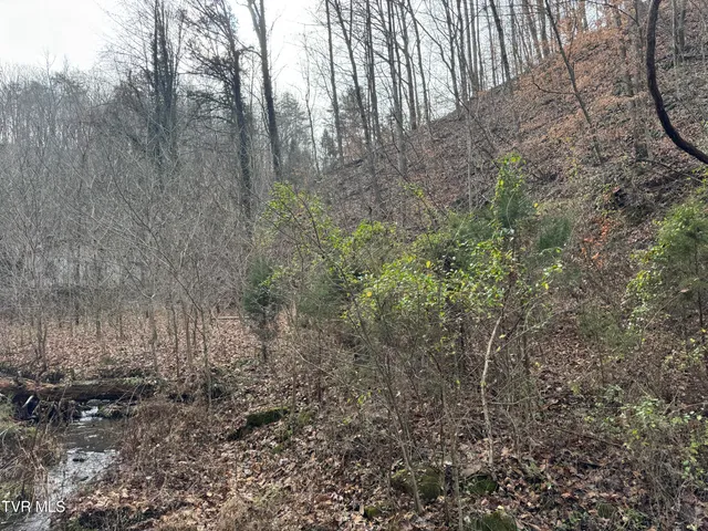 $20,000 | 3713 Manville Road, Gate City, VA 24251