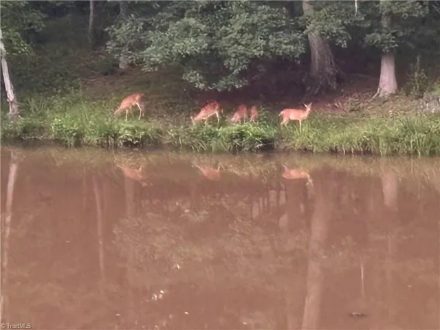 $500,000 | 6517 Blazingwood Drive, Pfafftown, NC 27040