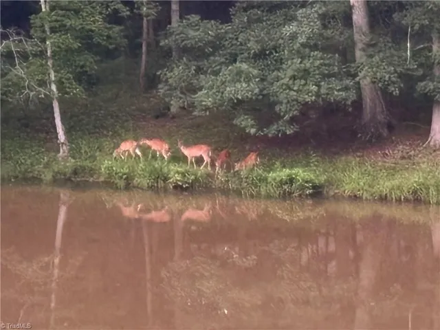 $500,000 | 6517 Blazingwood Drive, Pfafftown, NC 27040