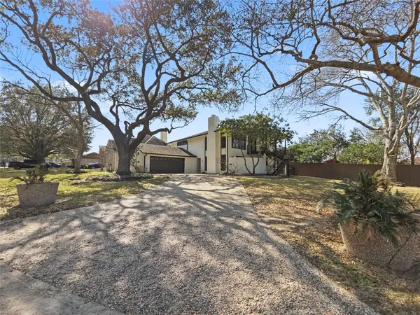 a view of a yard with a tree