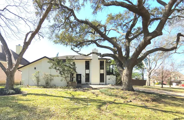 a view of a yard with a large tree