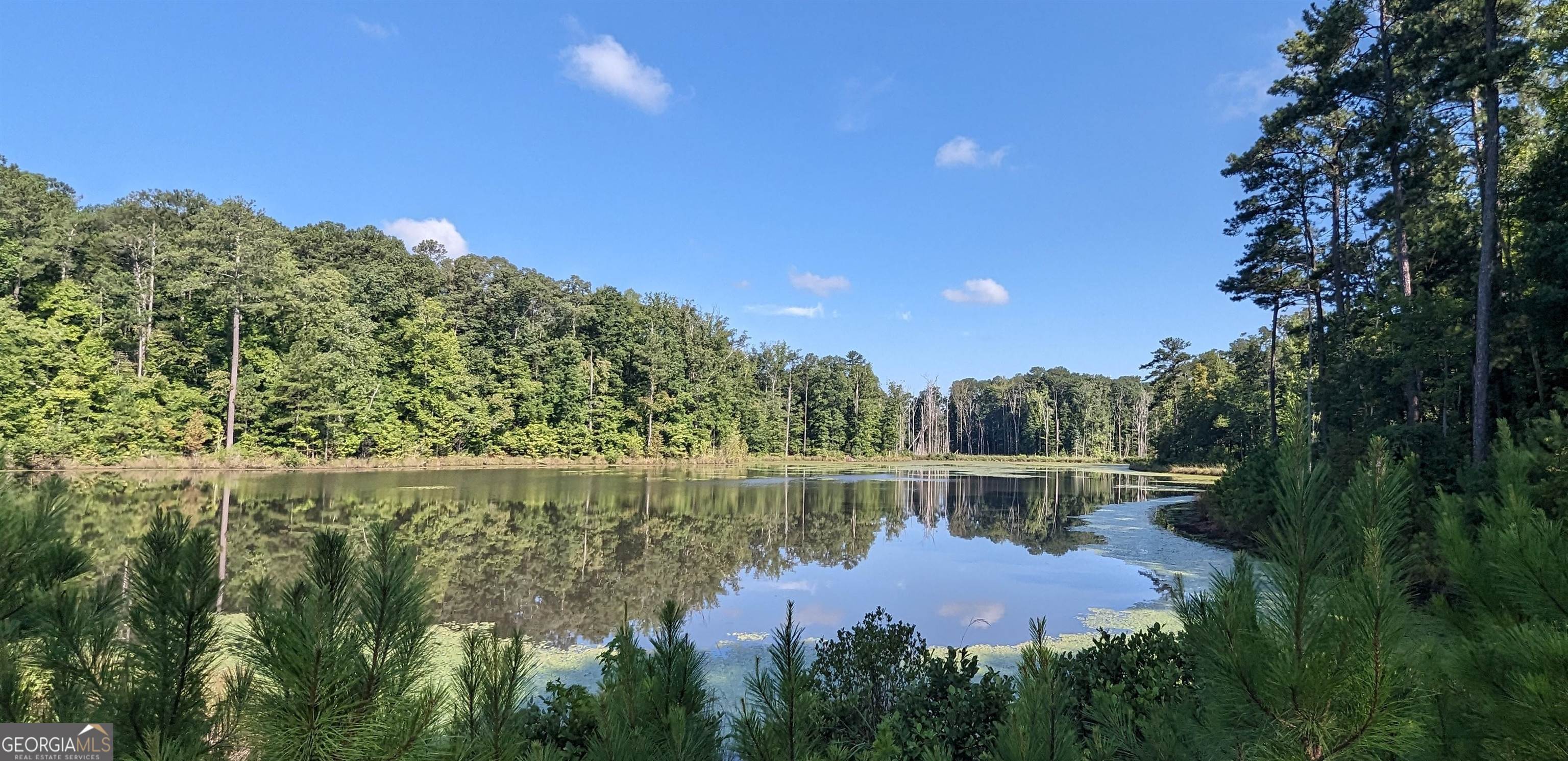 Lot 3 Joe Roberts Road Newnan, GA 30263 - Photo 1 of 16 a view of a lake with a yard