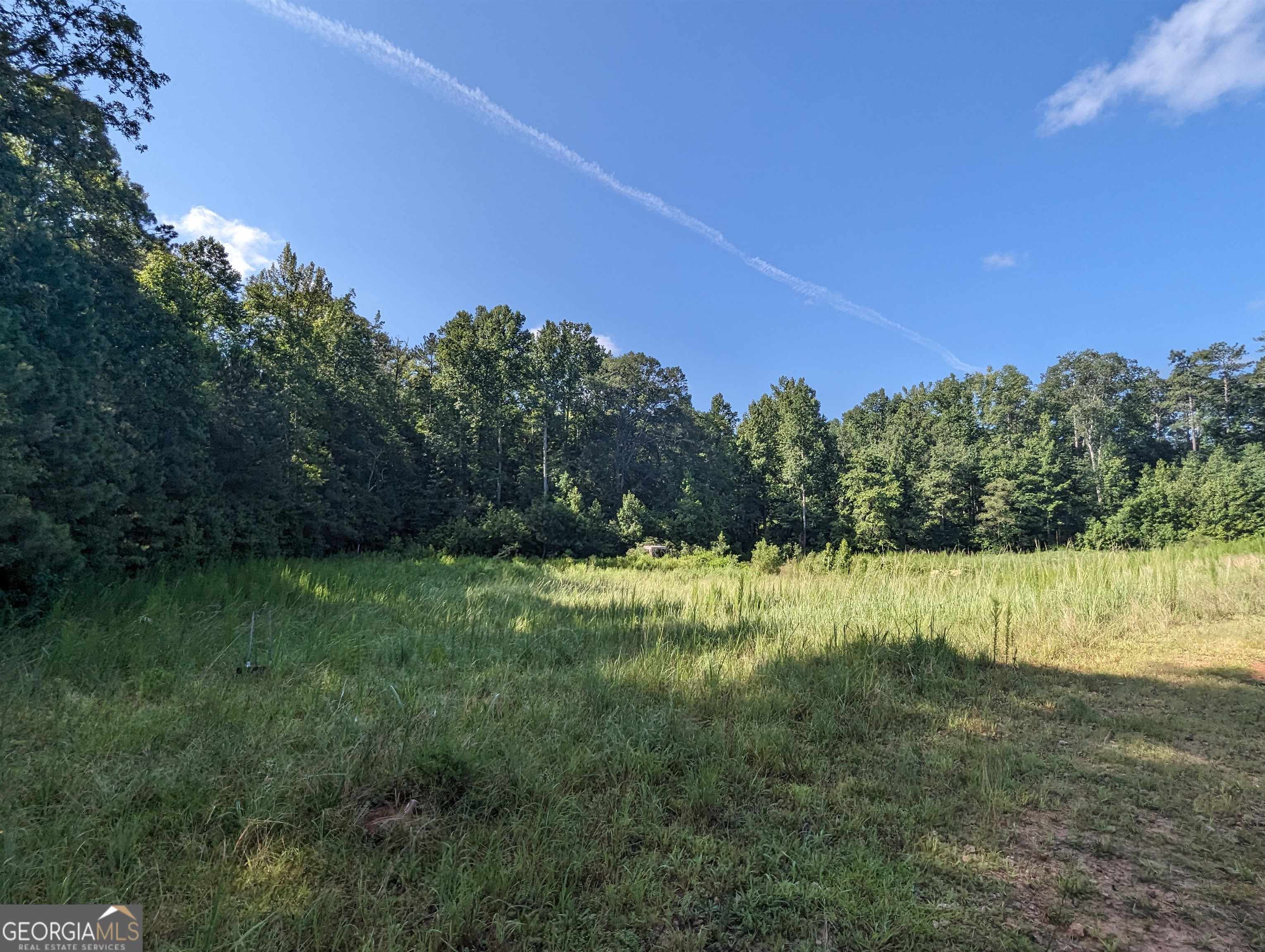 Lot 3 Joe Roberts Road Newnan, GA 30263 - Photo 11 of 16 a view of a yard with a tree