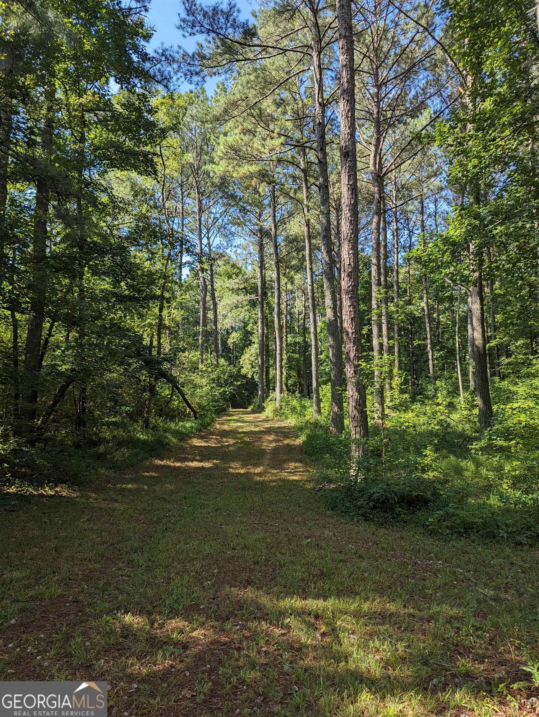 Lot 3 Joe Roberts Road Newnan, GA 30263 - Photo 13 of 16 a view of a yard