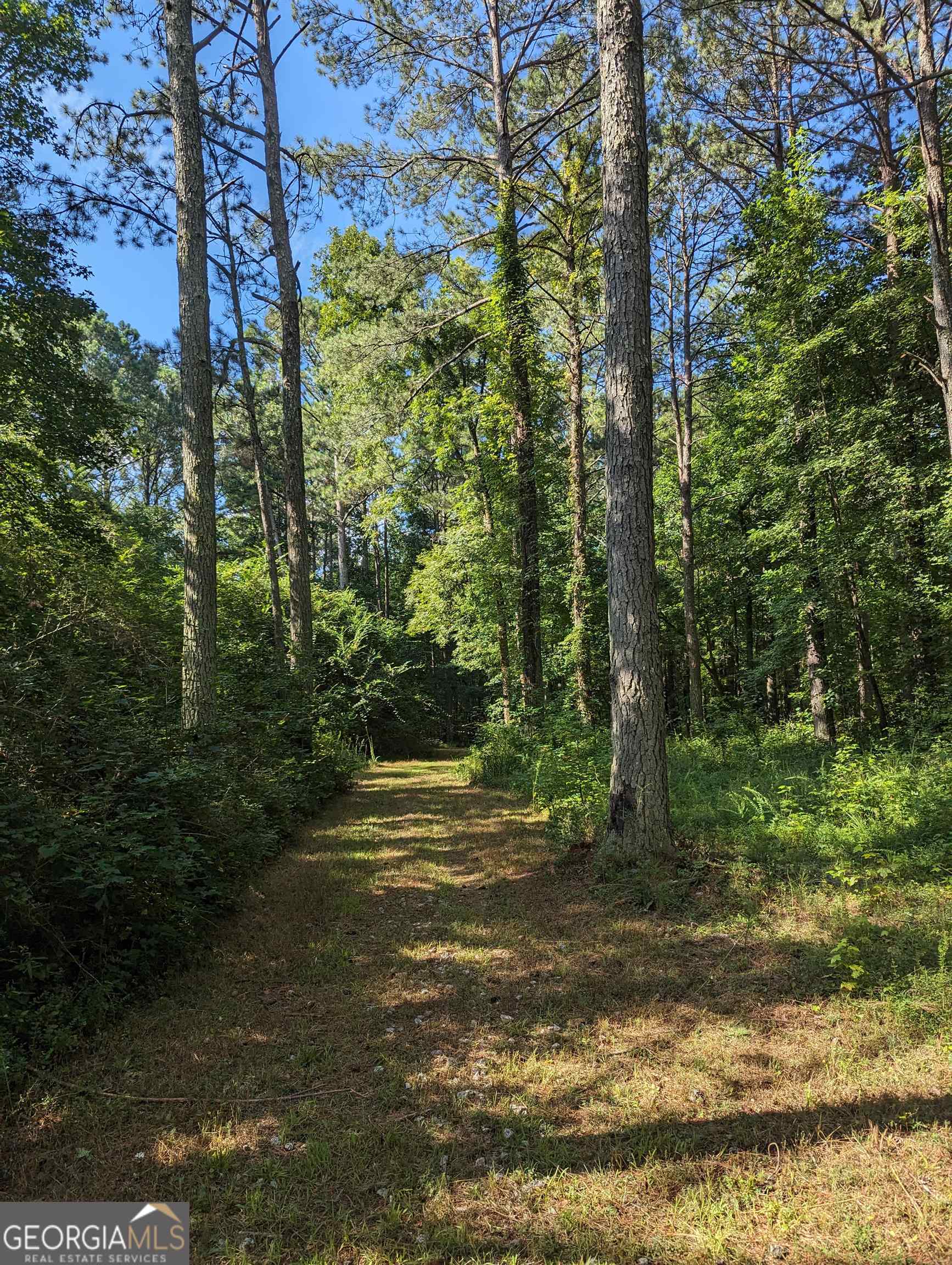Lot 3 Joe Roberts Road Newnan, GA 30263 - Photo 14 of 16 a view of a yard with a tree