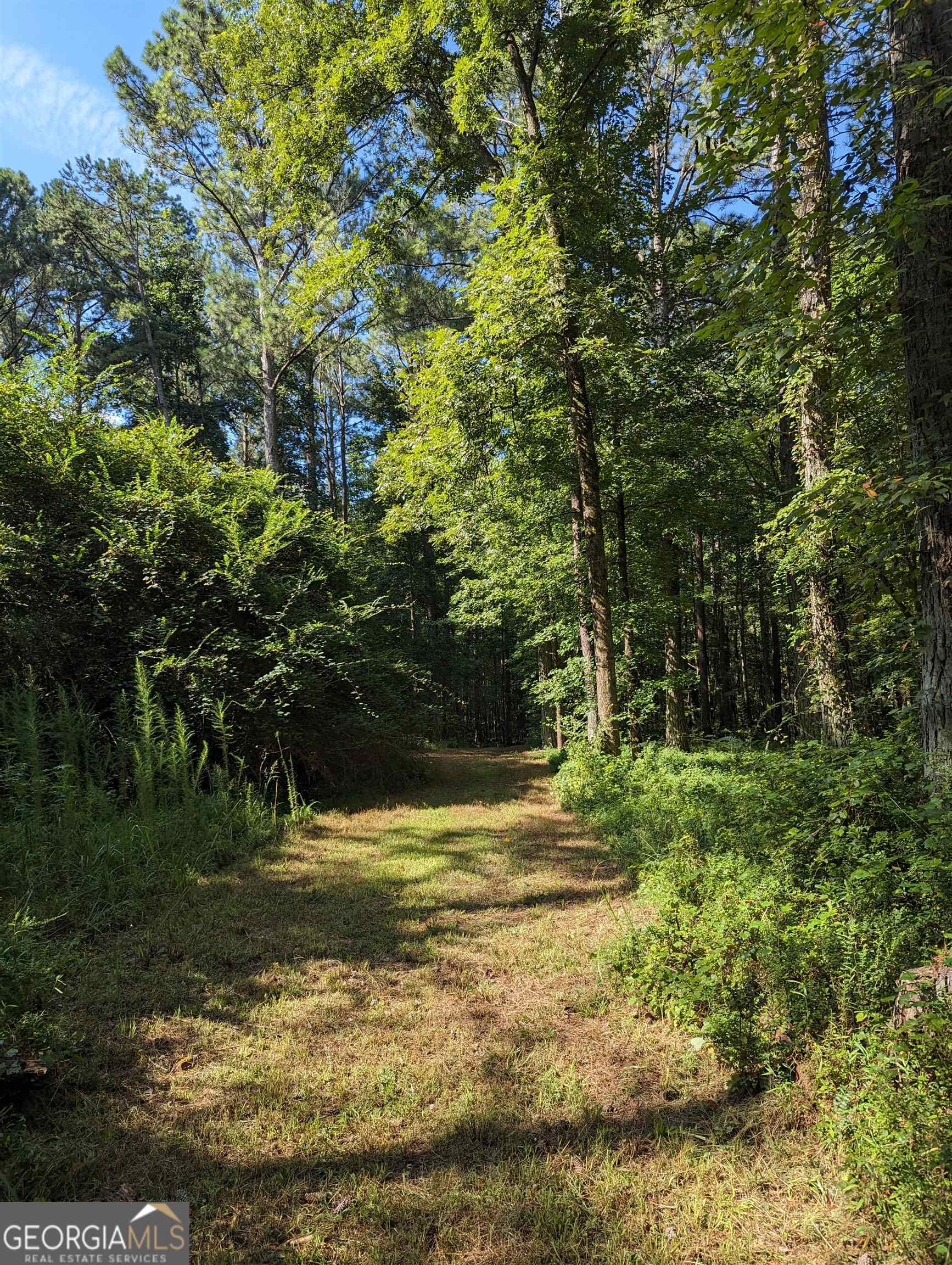 Lot 3 Joe Roberts Road Newnan, GA 30263 - Photo 15 of 16 a view of a tree in a yard