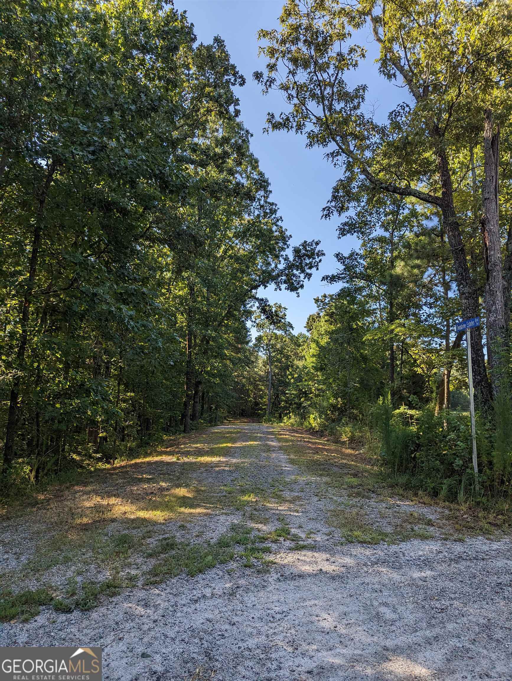 Lot 3 Joe Roberts Road Newnan, GA 30263 - Photo 2 of 16 a view of a field with trees in the background