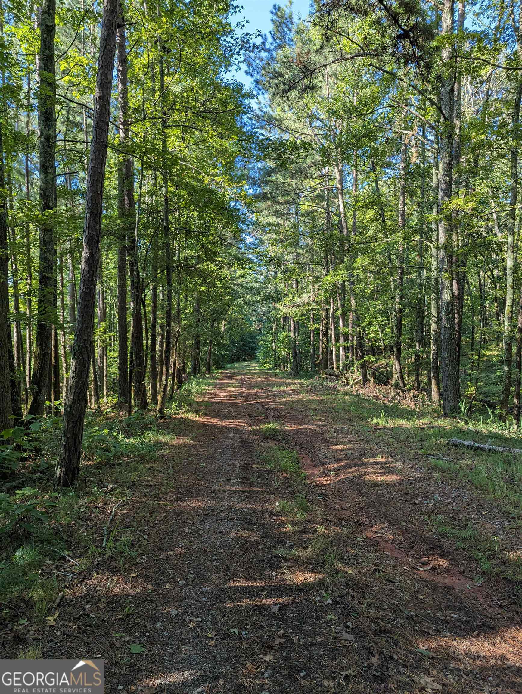 Lot 3 Joe Roberts Road Newnan, GA 30263 - Photo 4 of 16 a view of outdoor space and trees