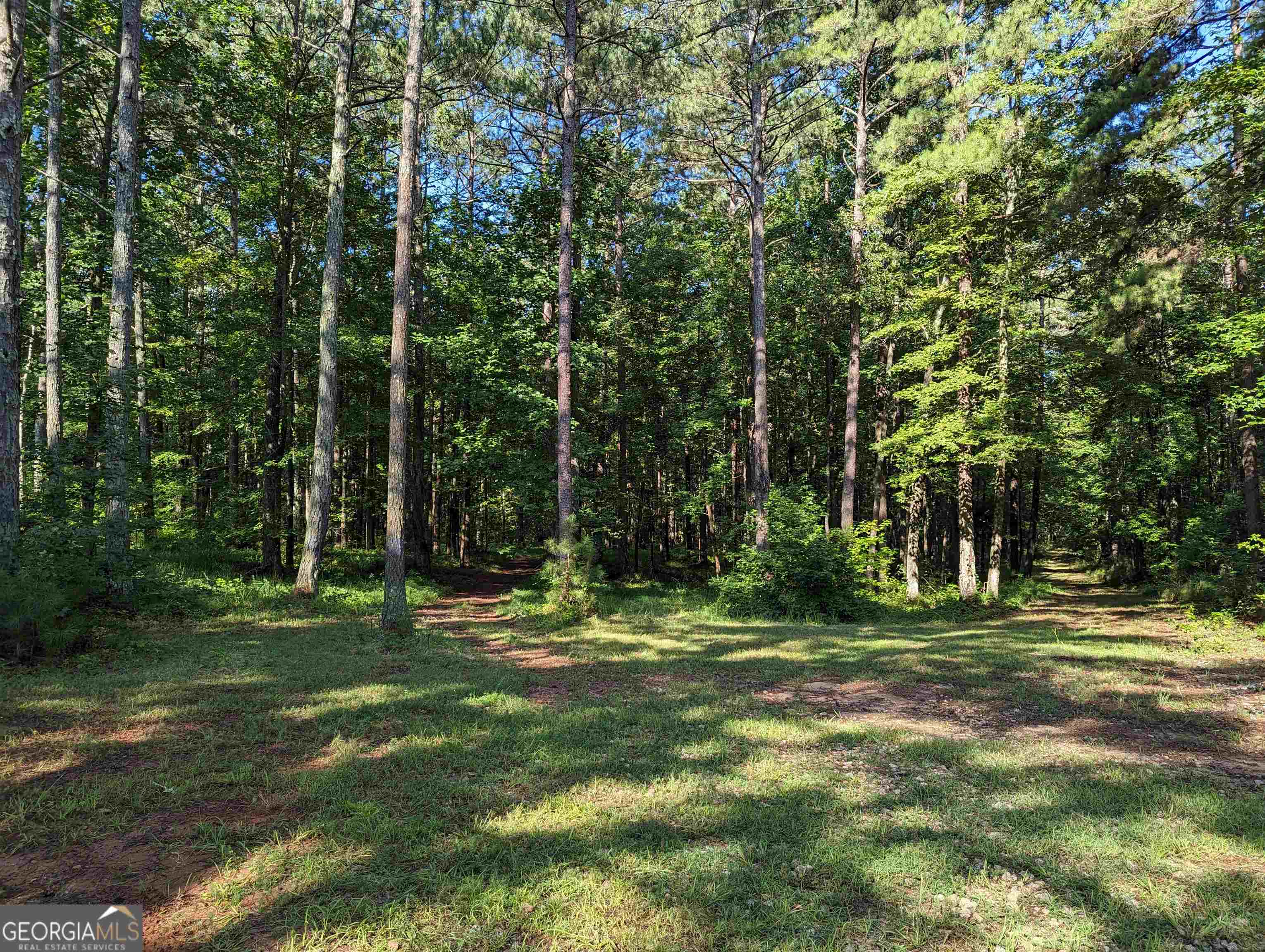 Lot 3 Joe Roberts Road Newnan, GA 30263 - Photo 5 of 16 a backyard of a house with a trees