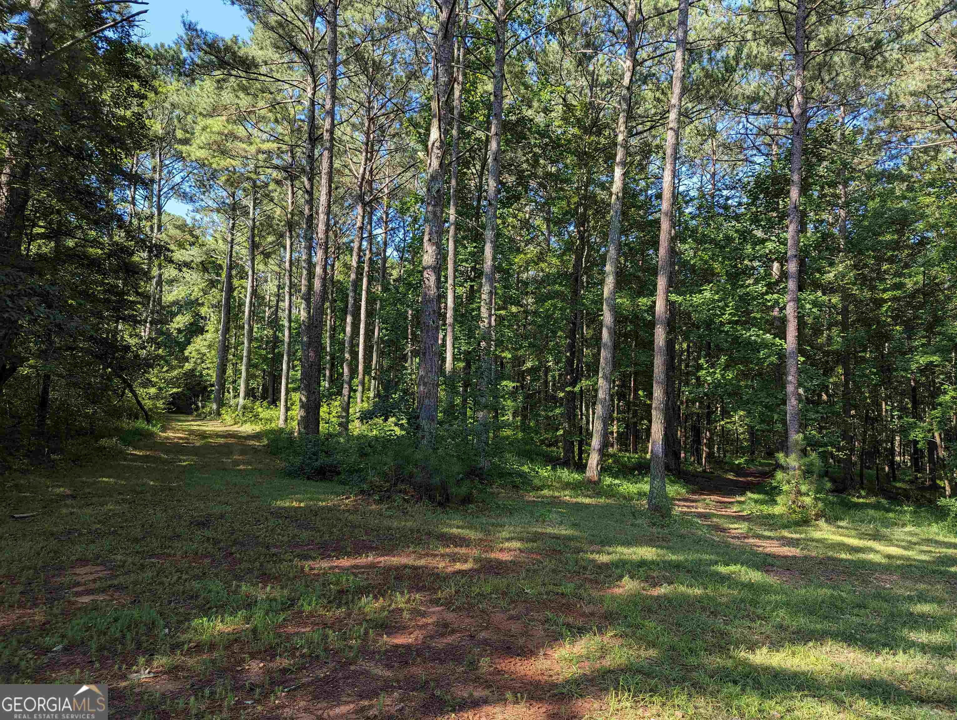 Lot 3 Joe Roberts Road Newnan, GA 30263 - Photo 6 of 16 a view of a park