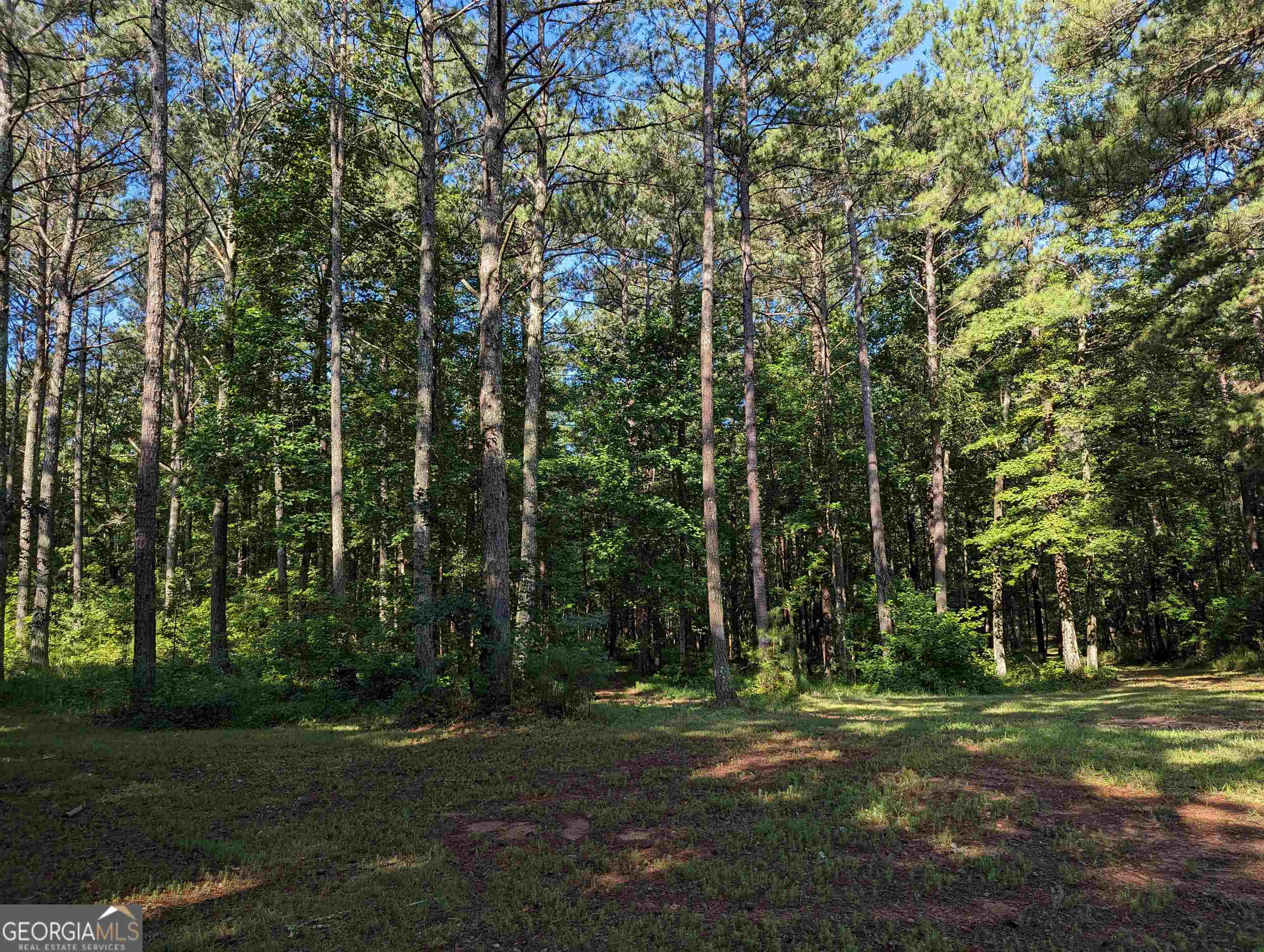 Lot 3 Joe Roberts Road Newnan, GA 30263 - Photo 7 of 16 a view of a park