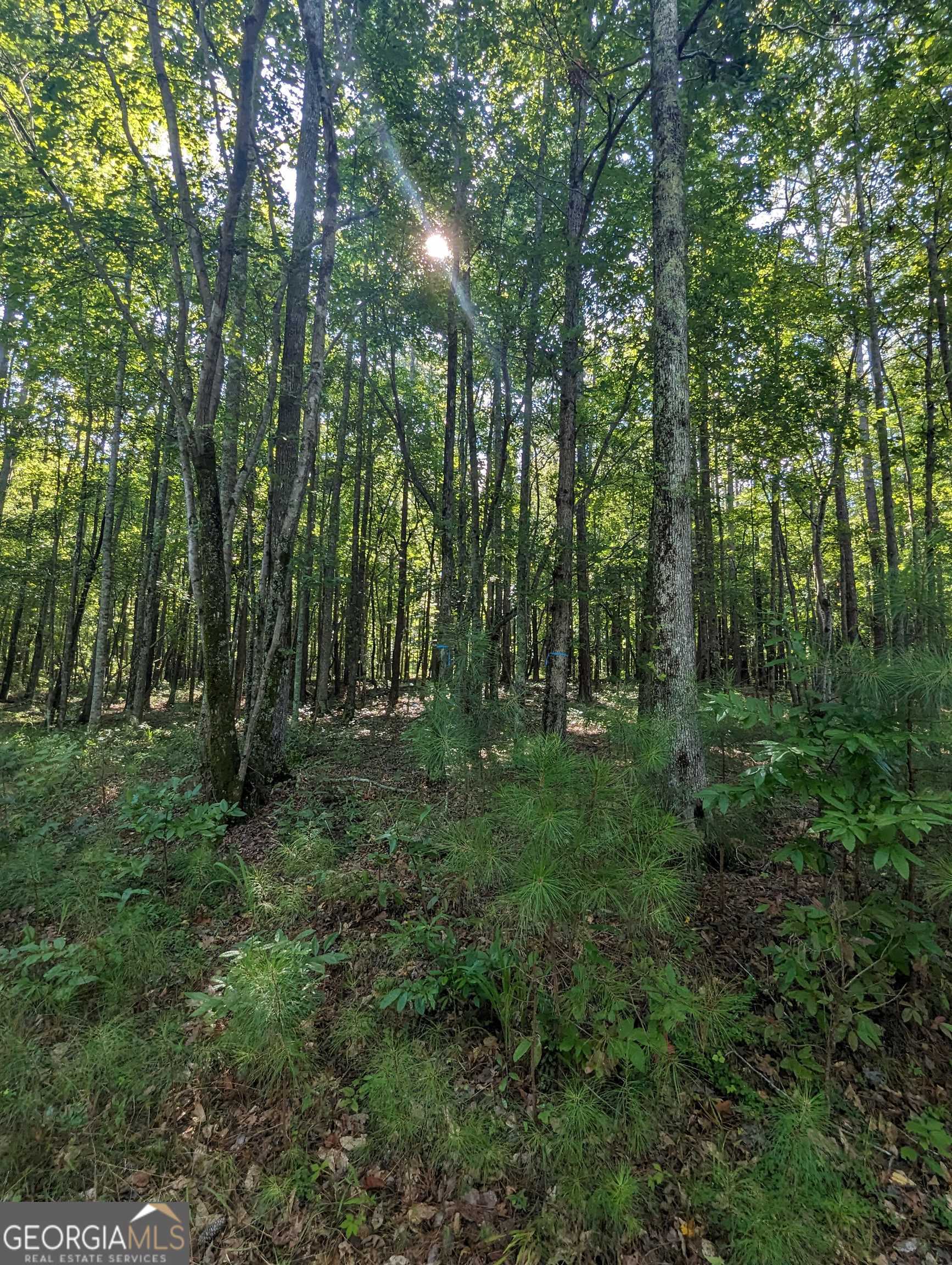 Lot 3 Joe Roberts Road Newnan, GA 30263 - Photo 9 of 16 a view of outdoor space and green space