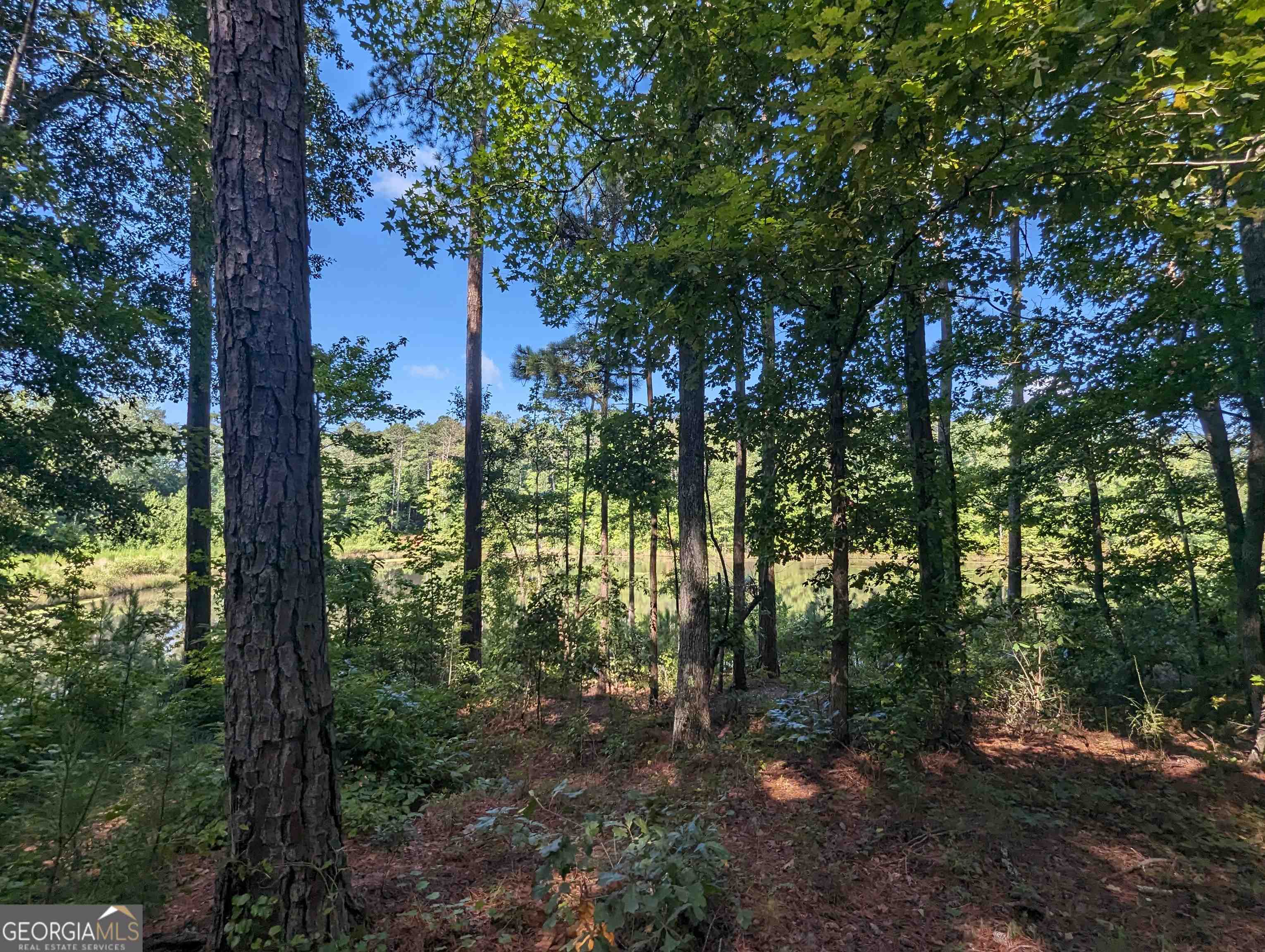 Lot 3 Joe Roberts Road Newnan, GA 30263 - Photo 10 of 16 a view of forest