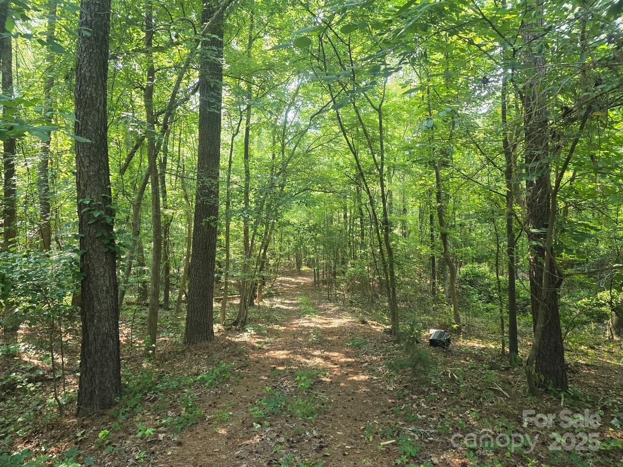0 Hoke Road Heath Springs, SC 29058 - Photo 11 of 15 a view of outdoor space and trees