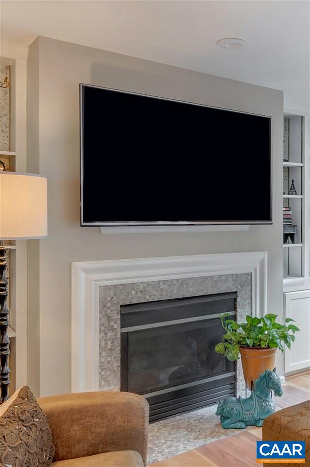1209 Raintree Drive Charlottesville, VA 22901 - Photo 12 of 46 a living room with a fireplace and a flat screen tv