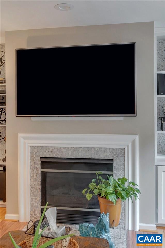 1209 Raintree Drive Charlottesville, VA 22901 - Photo 13 of 46 a living room with a fireplace and a potted plant