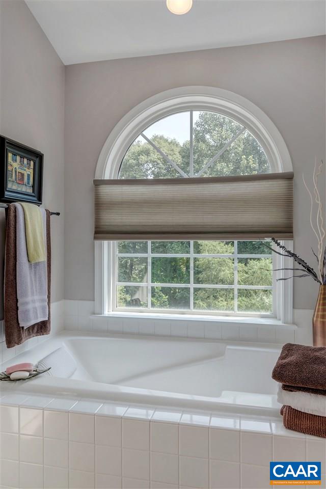 1209 Raintree Drive Charlottesville, VA 22901 - Photo 30 of 46 a view of a window in a room