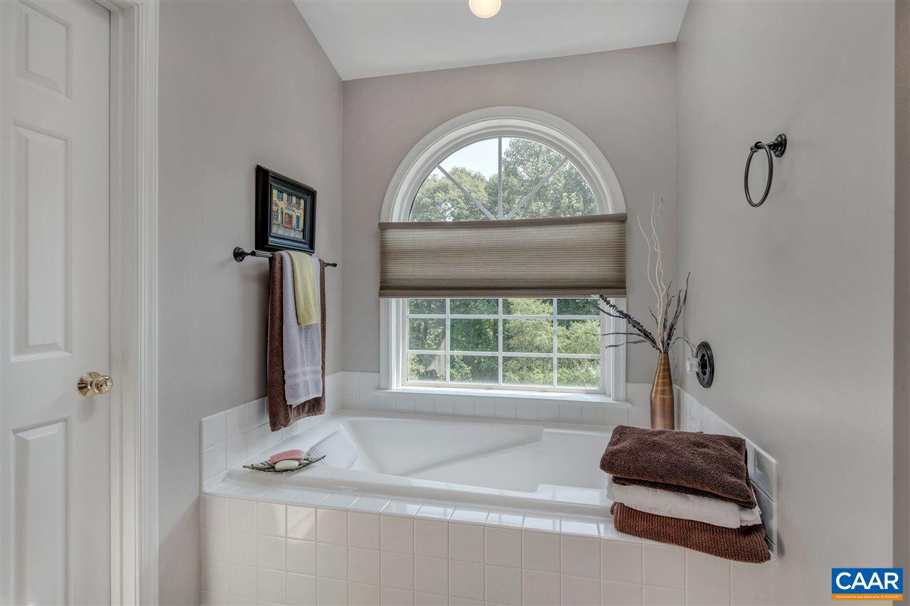 1209 Raintree Drive Charlottesville, VA 22901 - Photo 31 of 46 a room with a window and flowerpot