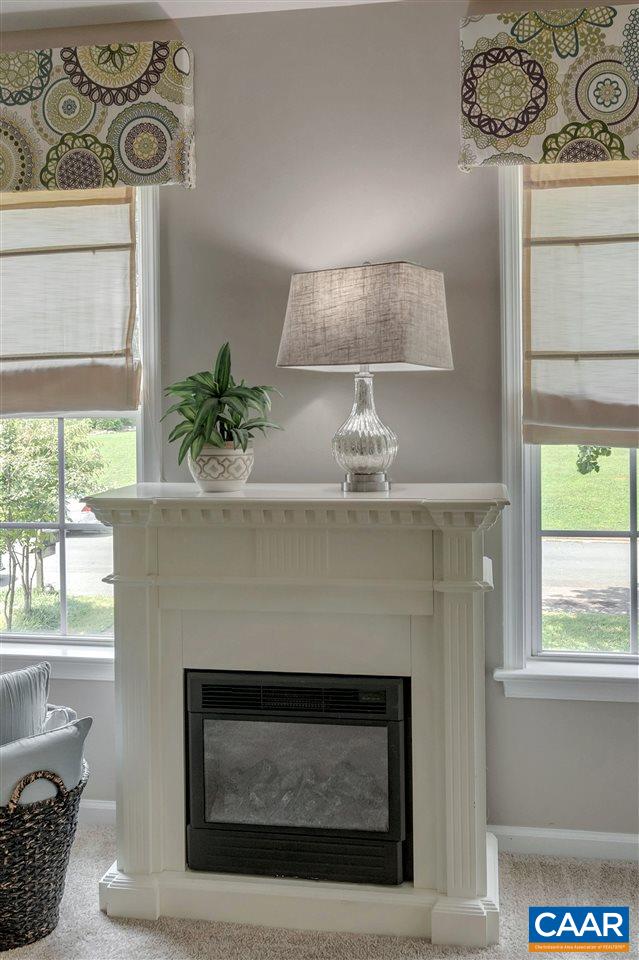 1209 Raintree Drive Charlottesville, VA 22901 - Photo 34 of 46 a fireplace with a vase of flowers sitting on a table