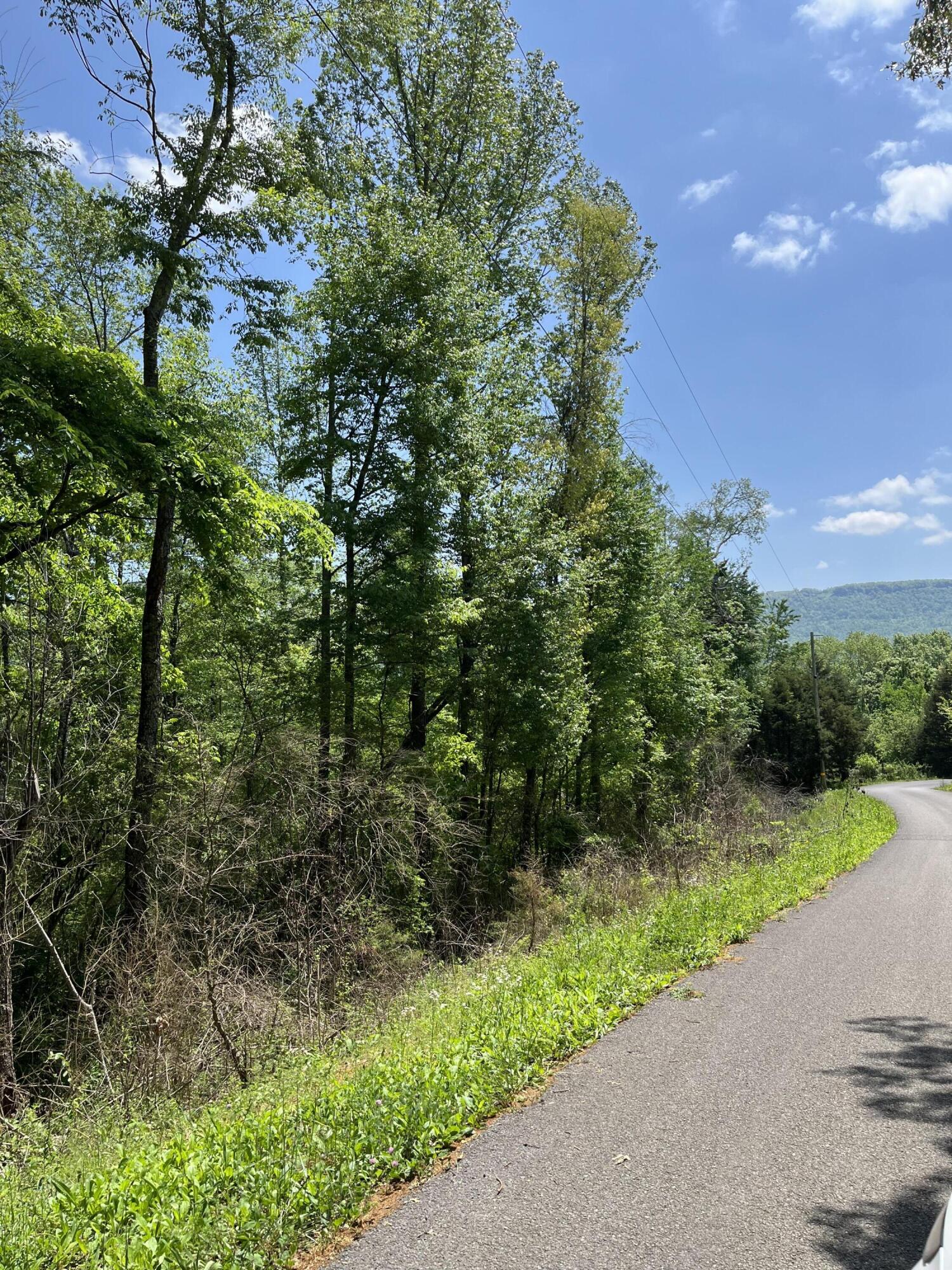 Lot 17 Jack Smith Road Dunlap, TN 37327 - Photo 1 of 4 lot 17d