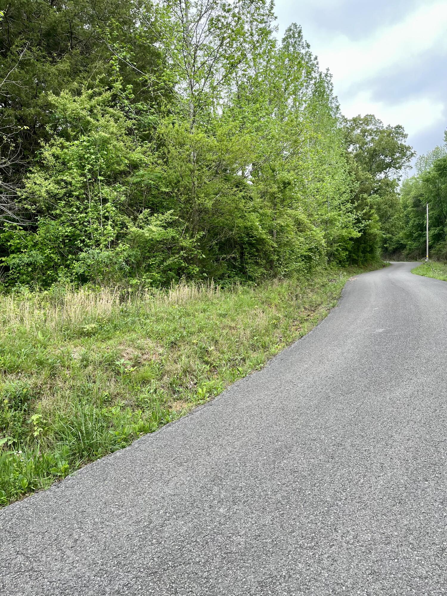 Lot 17 Jack Smith Road Dunlap, TN 37327 - Photo 2 of 4 lot 17a