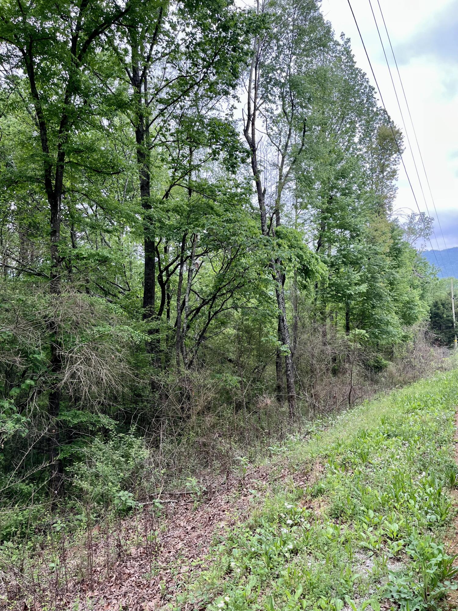 Lot 17 Jack Smith Road Dunlap, TN 37327 - Photo 3 of 4 lot 17b